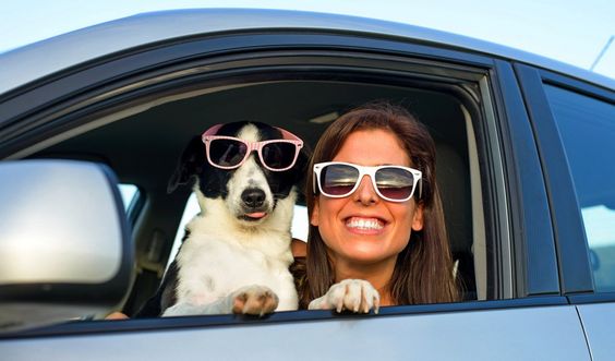 Best Cars for Pet Owners